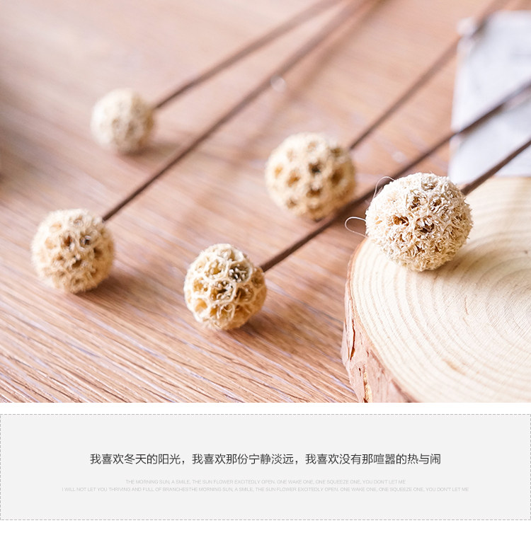 2017新年喜庆好寓意财运路路通干花插花