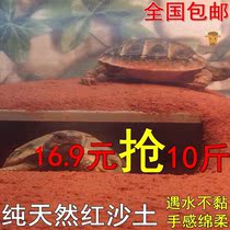 Yellow Edge Native Yellow Turtle Special Native Turtle Jar Special Clay Turtle Vat Mat Material Turtle Winter Sleeping Sandy Soil Turtle Red Soil