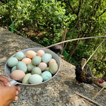 Hunan Xiangxi Earth Eggs Mountain Forest Release Raising Farmhouse Loose Green Shell Ueggs eighteen Dongcun Mountain Chicken 30 Bottling