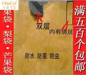 v黄梨梨袋梨黄梨黄金梨套袋晚秋脆冠套袋果袋梨培古玛丽自然之谜图片
