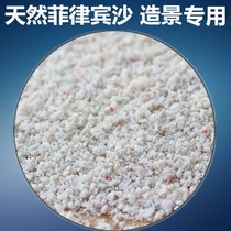 Filipino sand calcareous sand fish tank bottom sand bershell sand coral sand white sea sand sea cylinder pinned crab calcareous sand
