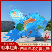 Square Dance Fitness Dragon Belt Yearly Has Fish and Silk Middle Outdoor Sports Performance Toys