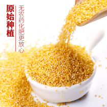 The story before the stove Yellow millet 500g moon rice baby rice Five-grain porridge Eat glutinous millet porridge Breakfast porridge