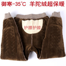 Ordos cashmere pants men and women plus velvet thickened winter warm camel wool cotton pants middle-aged and elderly wool leggings