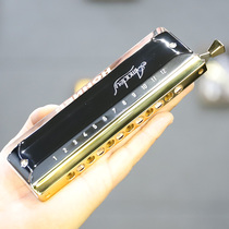 German imported Hohner and Lai Amadeus harmonica 12 holes beginner adult students Professional
