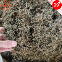 Chinese herbal medicine goose not eating grass 500g Fresh dry stock Swan not eating grass Chinese herbal medicine hungry and not eating grass