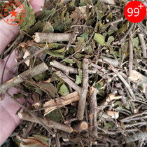 Fresh dry goods Sanparasitic tea 1000g Chinese herbal medicine Sanparasitic