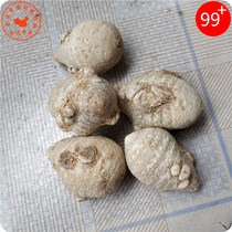 Broken stone 1000g Yunnan Chinese Herbal medicine Chinese Herbal medicine bubble wine material broken stone Thunder broken stone Wang Chuan broken stone