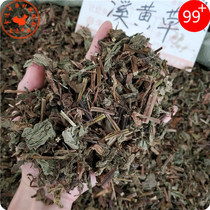 Chinese herbal medicine dry creek yellow grass 1000g Chinese herbal medicine bitter creek yellow blood wind grass bear bile herbal tea dish
