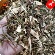 Chinese Herbal medicine Yew 1000g Yew Leaves Yew Leaves Chinese Herbal Medicine 2 pounds