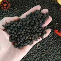 Chinese Herbal Medicine Wood Ginger 500g Mountain Heavenese Mountain ginger Eggplant Eggplant pictobergino