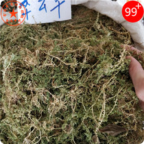 Chinese Herbal medicine Cuiyun Grass 1000g Bluegrass Blue cypress green velvet grass Foot extension grass Rotten skin snake Chinese herbal medicine