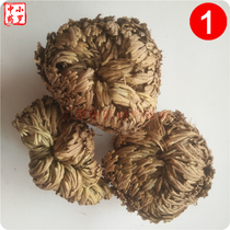 Nine Dead Soul Grass 1000g Selaginella Changlian Long Life Grass Resurrection Grass Potted Medicinal 2 Jin