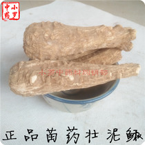 Chinese herbal medicine Miao Zhuang Loach 1000g sulfur-free whole Loach Cistanche Cistanche Cynomorium male soaking wine