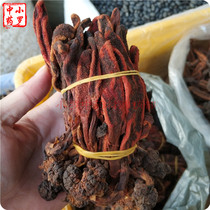 Yunnan Huichun Grass 500g Cistanche Dingtiangzhu is not old grass with wind fruit male nourishing wine