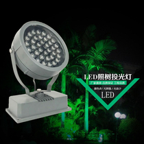 LED Floodlight Outdoor Shine Tree Light Waterproof Spotlight Round Grass Terrace Lamp Interlude Light Patio Green 18W36W