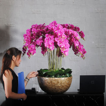Fake flower Phalaenopsis hotel lobby decoration flower company front desk floral living room simulation flower shop large ornaments flower shop