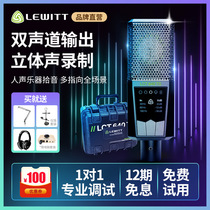 LEWITT LCT 640TS Multi-directional large diaphragm condenser microphone recording network anchor microphone Live microphone Vocal singing Stereo studio microphone equipment set