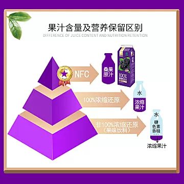 宝桑园桑果汁广东农科院桑葚汁NFC[5元优惠券]-寻折猪