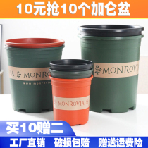 Thickened gallon flower pot King size resin plastic pot Moon green dill seed vegetable sunscreen flower pot