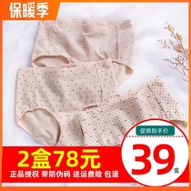 3-Piece top quack triangle size high waist underwear womens fat cotton Big version fat type belly lift double crotch