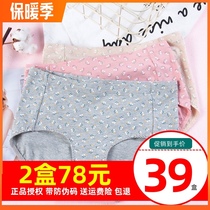 Top quack underwear womens high waist underwear large size cotton printed underwear top melon green middle-aged underwear warm Palace