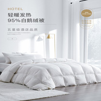 Duvet white goose down quilt core winter thickened hotel goose down quilt single winter quilt core four seasons warm household model