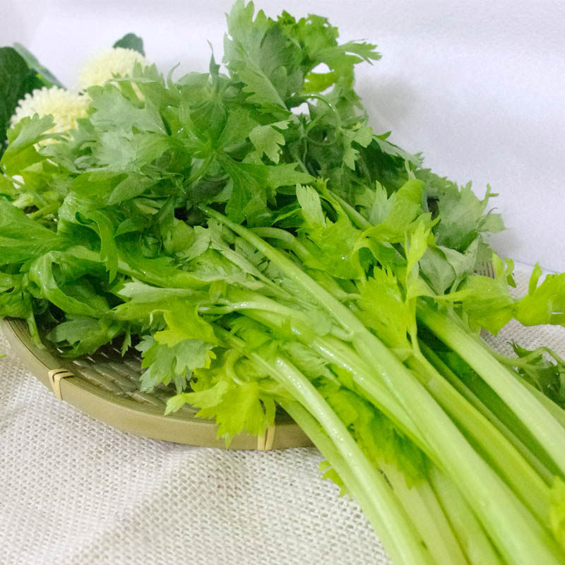 药芹/芹菜500g 黄芹新鲜蔬菜健康美食 沃鲜汇菜市场生鲜超市