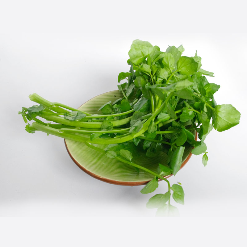 西洋菜/豆瓣菜500g 新鲜蔬菜无公害种植 菜市场沃鲜汇生鲜超市