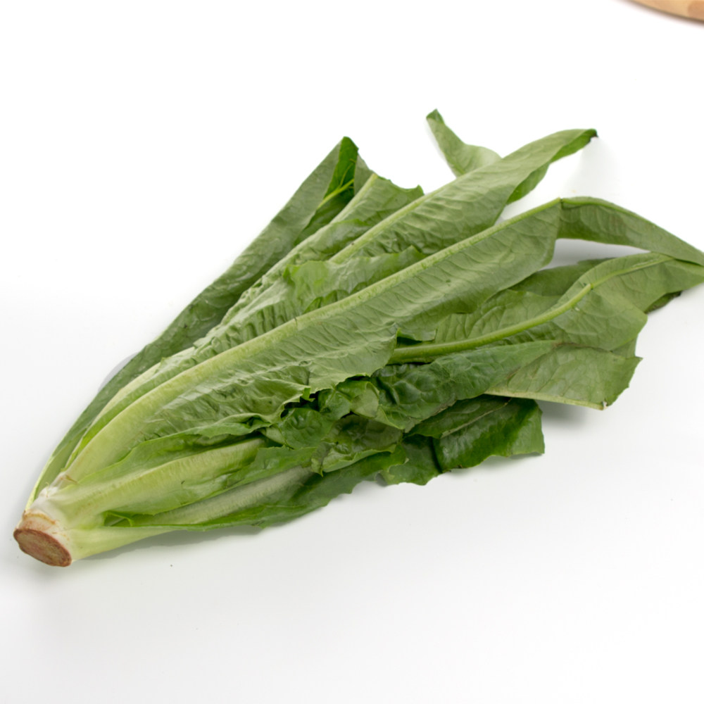香麦菜/油麦菜500克,新鲜蔬菜,菜市场沃鲜汇 生鲜超市