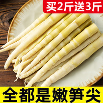Bamboo shoots Fresh small bamboo shoots Farm clear water bamboo shoots Jiangxi specialty spring bamboo shoots hot pot bamboo shoots Wild tender bamboo shoots pointed Arhat bamboo shoots