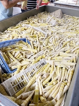 Chamfered bamboo shoots slices 5 kg fresh hotel hotel restaurant cold salad braised vegetables Malatang bamboo shoots pointed commercial big bag