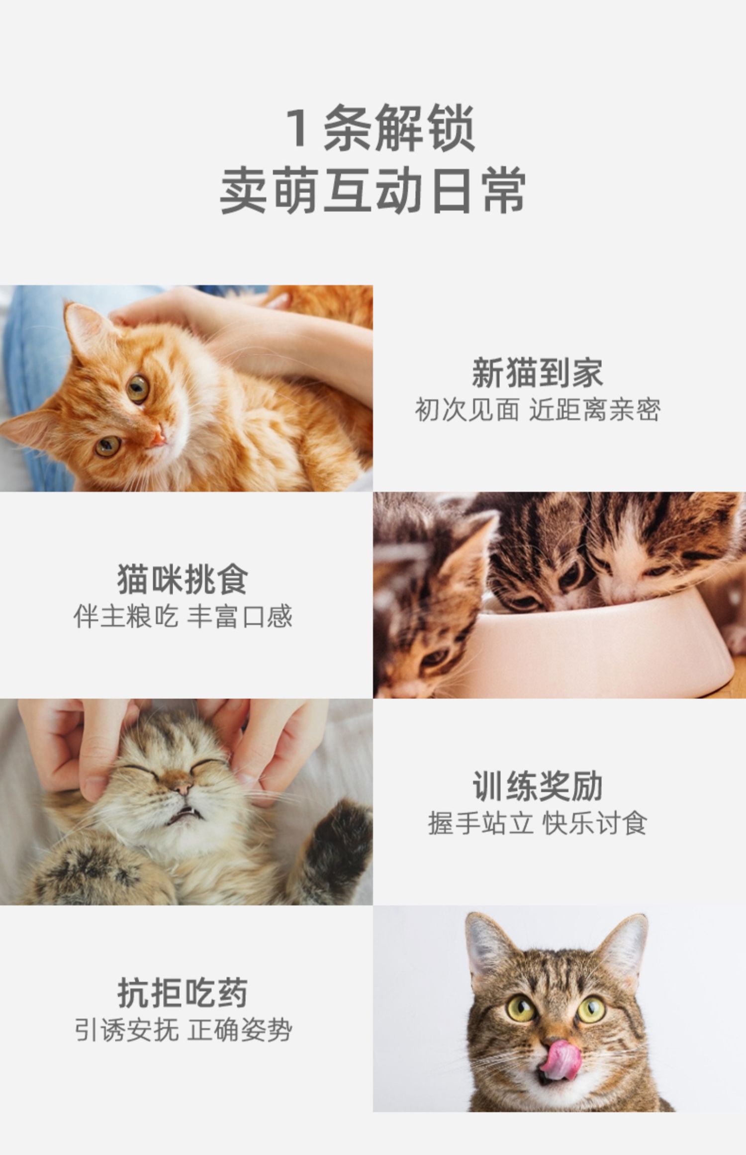 有鱼®Numbers猫条零食湿粮包