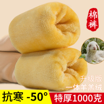 Cotton pants female winter plus velvet padded leggings outside wearing flesh-colored light leg artifact high waist integrated Northeast super thick warm pants