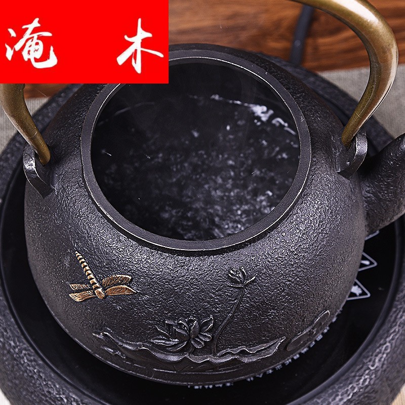 Submerged wood and iron pot of electric TaoLu suit Japanese iron hand mercifully tea pot to boil tea water boiler kung fu tea set