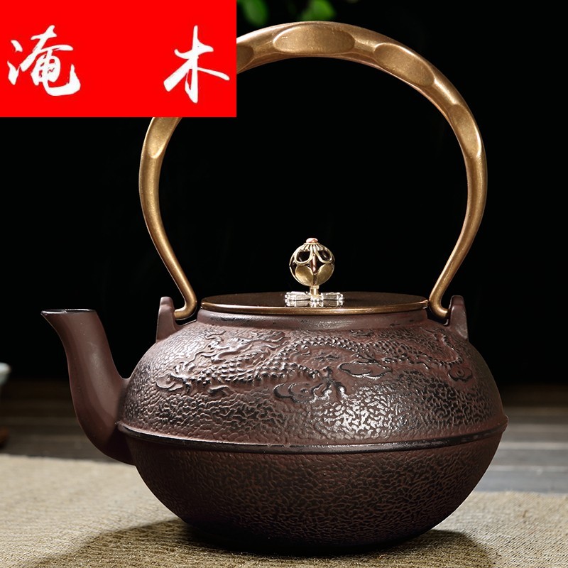 Submerged wood auspicious dragon cast iron pot of electric TaoLu suit uncoated iron teapot iron bottles of cooking kettle softening water quality in the south