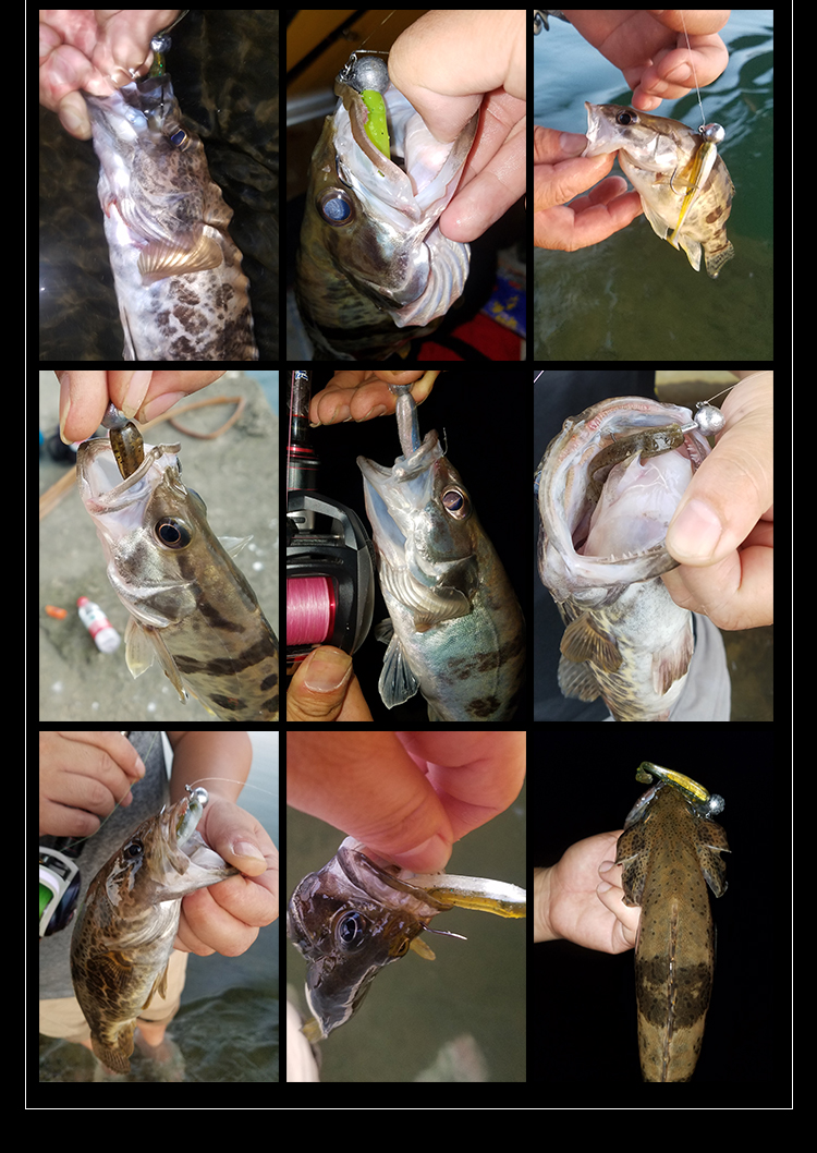 经典款路亚软饵t尾鱼6/6.5/7cm软虫加腥鳜鱼鲈鱼可配曲柄钩铅头钩