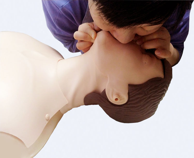 心肺复苏模拟人半身全人工呼吸心脏按压急救演练假人模特型cpr690