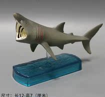 Arrival Japanese marine animal model basking shark