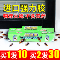 Cockroach House Cockroach Drug Home One Nest End No Cockroach Stickler Powerful Size Tun Killer Poison Hotel With Kitchenette