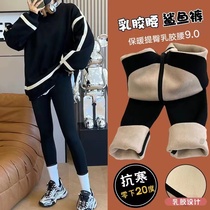 The second sisters extra thick 90 plus velvet shark pants latex waist-lifting buttocks and abdomen slimming outerwear barbie pants leggings