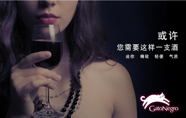 品尚红酒 原瓶原装进口干红 智利猫赤霞珠葡萄酒187ml整箱六支装