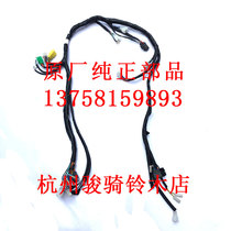 Pure American Prince GZ125HS original factory GZ125HSJ whole car line whole car wire 12F70