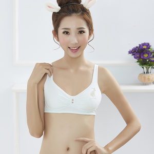 少女发育期无钢圈高中学生大童内衣薄棉模杯14-15-17岁文胸罩纯色