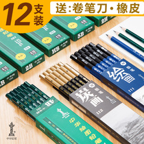 Chinese brand sketch pencil set professional painting pencil art student supplies 12B4B beginner sketch exam special 2B drawing special non-toxic charcoal pencil pencil drawing supplies