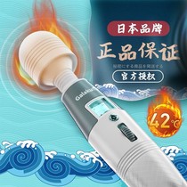 Japan Imports Small Multifunction Handheld Electric Vibration Mute Can Warm Massage Stick Shake Instruments