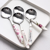 5-pack cartoon eating spoon Adult children large soup spoon round spoon spoon spoon Stainless steel spoon thickened