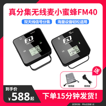 FM40 wireless microphone lavalier type radio Bee live shaking professional equipment Rechargeable small