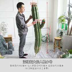 Nordic simulated cactus plant, large floor-standing cactus, tropical desert green plant, large amount of sky ruler ball decoration