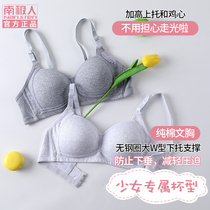 Underwear female without steel ring college student high school girl bra summer adjusted small chest gathering pure cotton thin bra